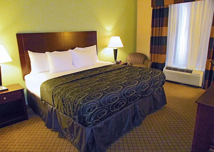 La Quinta Inn & Suites by Wyndham Tampa Central