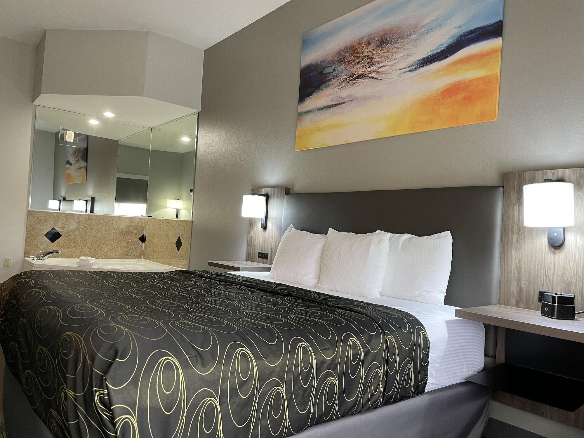 Hotel La Quinta By Wyndham Carrollwood Village