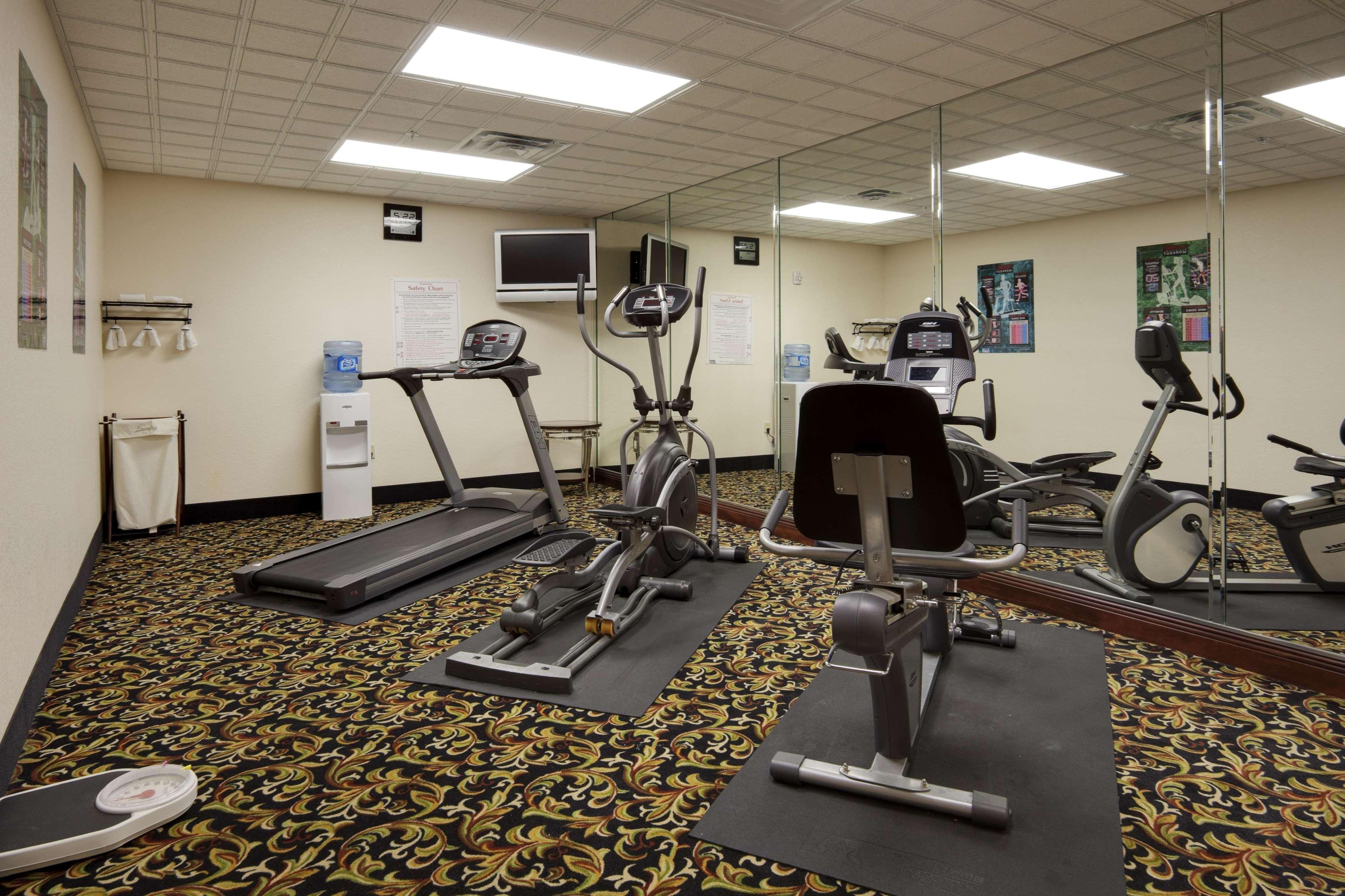 La Quinta By Wyndham Hotel Carrollwood Village